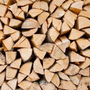 holz-trocken1